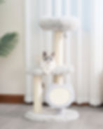 Catry Large IG posts (51)_batcheditor_fotor.jpg