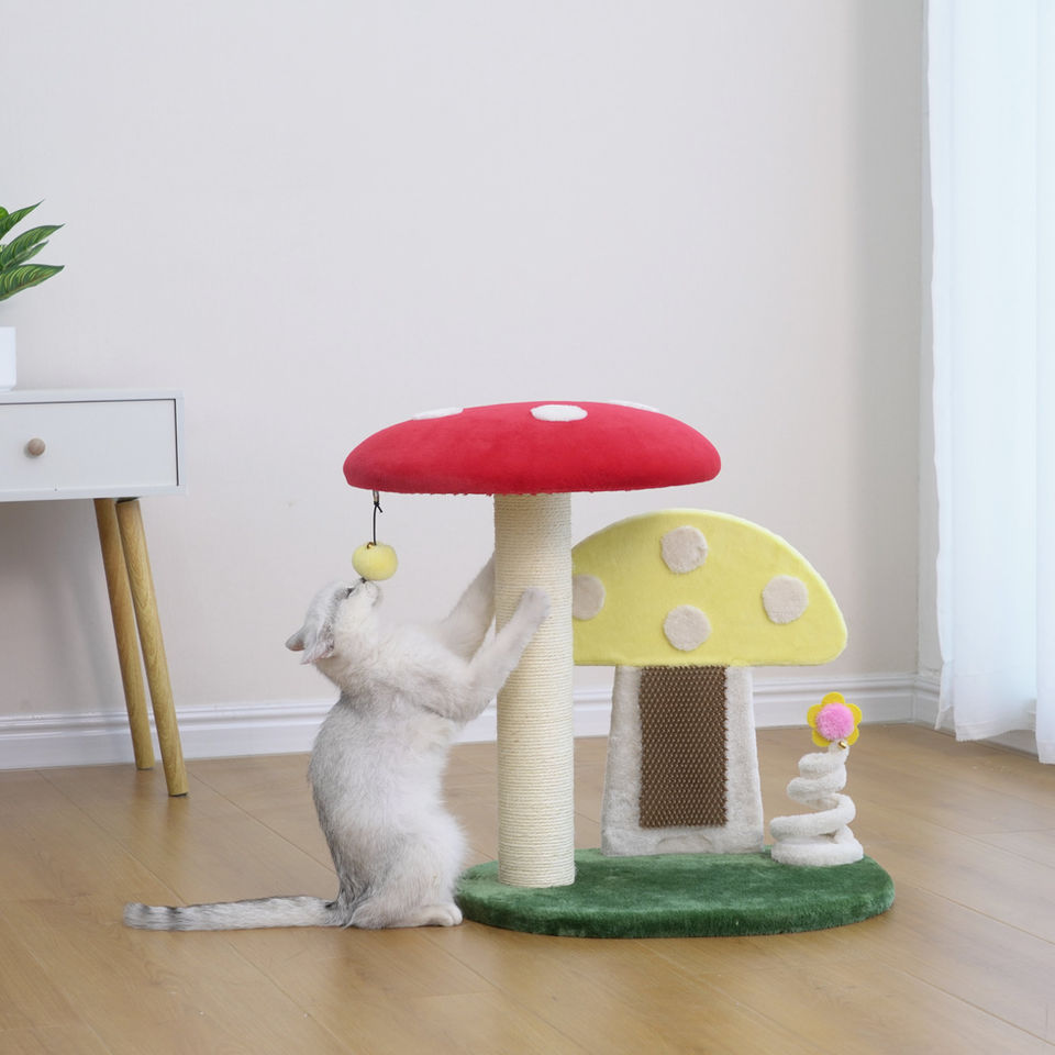 Petpals Moultrie PP240560 mushroom perch scratcher, a sisal scratching post, and a cat toy