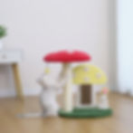 Petpals Moultrie PP240560 mushroom perch scratcher, a sisal scratching post, and a cat toy