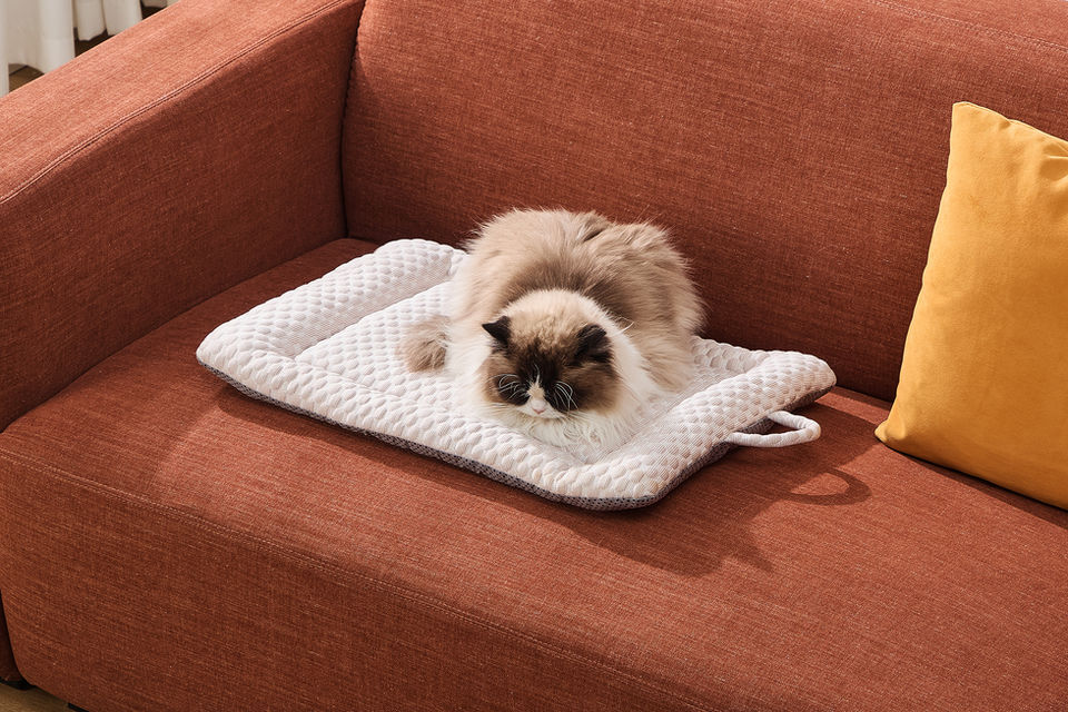 CoolNest Gel Pet Pad on Couch with cat