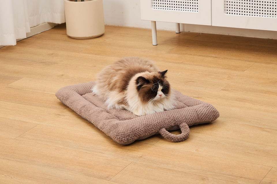 CozyPaws Insulated Pet Mat with cat resting