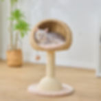 Petpals Lookout PP210310 cat tree with two levels, one scratching post, handwoven recycled paper rope cat basket bed in room