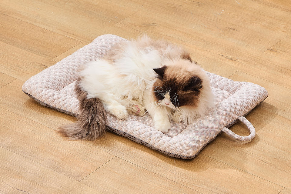 CoolNest Gel Pet Pad with cat resting