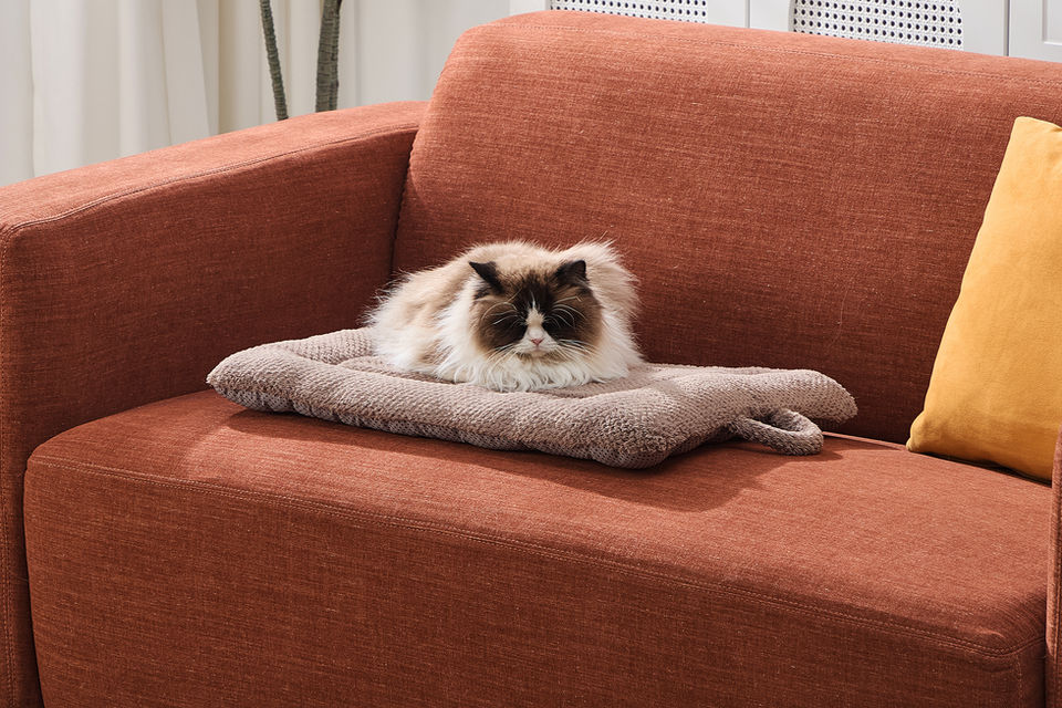 CozyPaws Insulated Pet Mat on couch