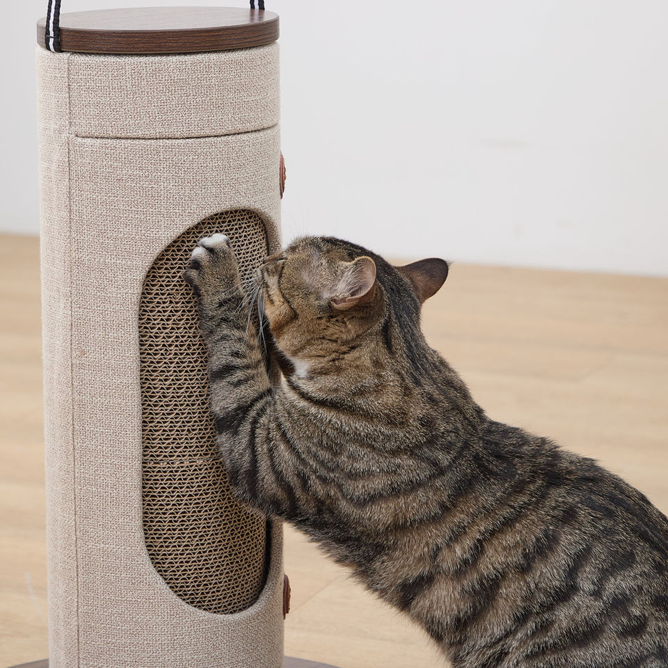 Petpals Eco-Scratcher PP241244 close up of cat using reusable cat scratcher
