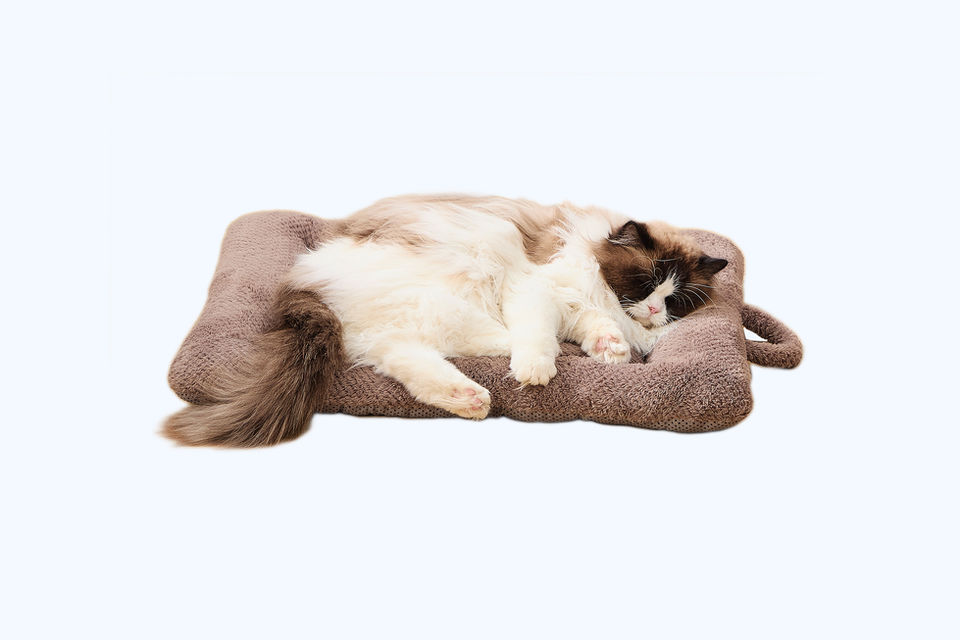 CozyPaws Insulated Pet Mat