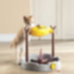 PetPals® Grilled Fish Toy, a rotating fish and campfire design slow feeder and treat dispenser, with adjustable hole.