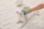 Grooming Gloves Pet Hair Removal, Great for De-Shedding, Great for Dogs, Cats, and More!